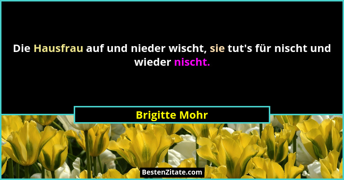 Die Hausfrau auf und nieder wischt, sie tut's für nischt und wieder nischt.... - Brigitte Mohr