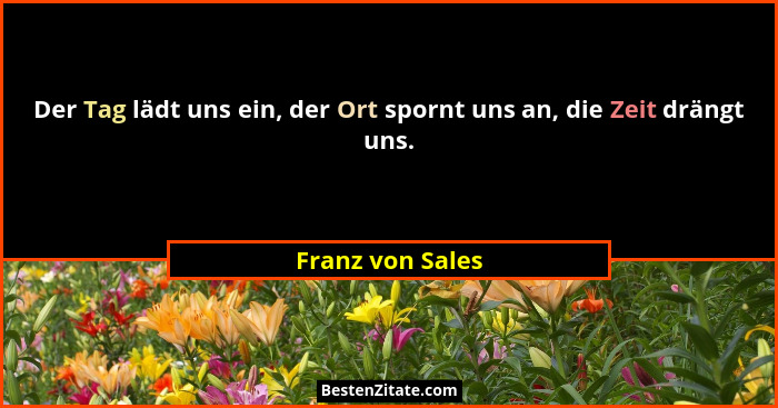 Der Tag lädt uns ein, der Ort spornt uns an, die Zeit drängt uns.... - Franz von Sales