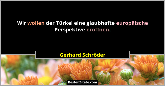 Wir wollen der Türkei eine glaubhafte europäische Perspektive eröffnen.... - Gerhard Schröder
