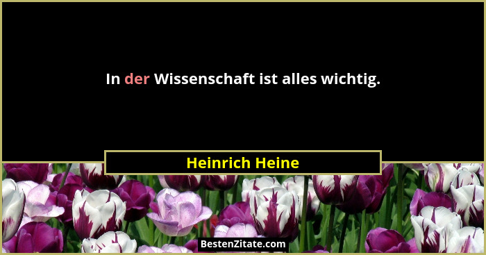 In der Wissenschaft ist alles wichtig.... - Heinrich Heine