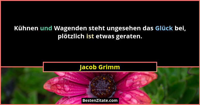 Kühnen und Wagenden steht ungesehen das Glück bei, plötzlich ist etwas geraten.... - Jacob Grimm