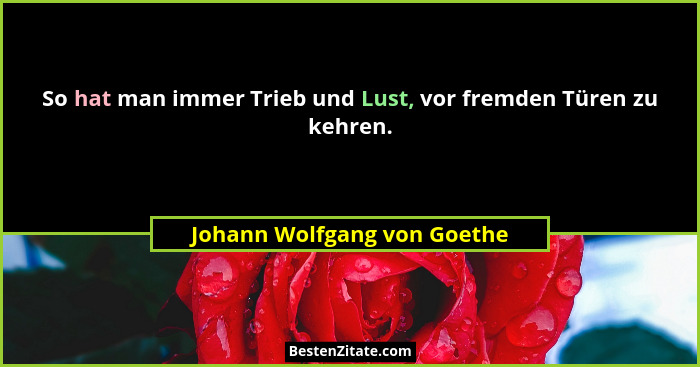 So hat man immer Trieb und Lust, vor fremden Türen zu kehren.... - Johann Wolfgang von Goethe