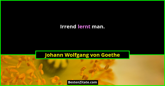 Irrend lernt man.... - Johann Wolfgang von Goethe