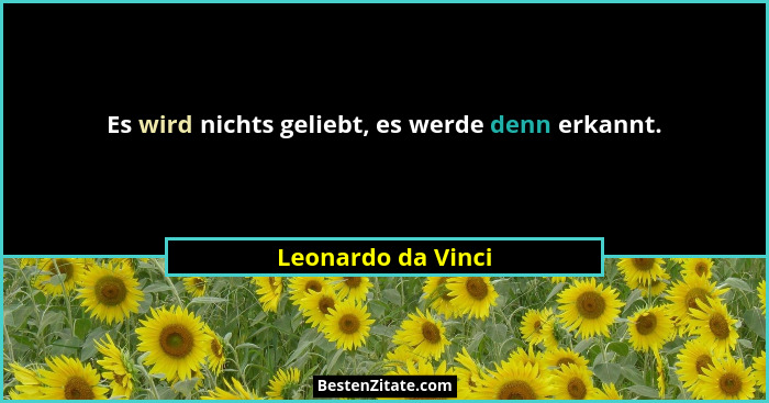 Es wird nichts geliebt, es werde denn erkannt.... - Leonardo da Vinci