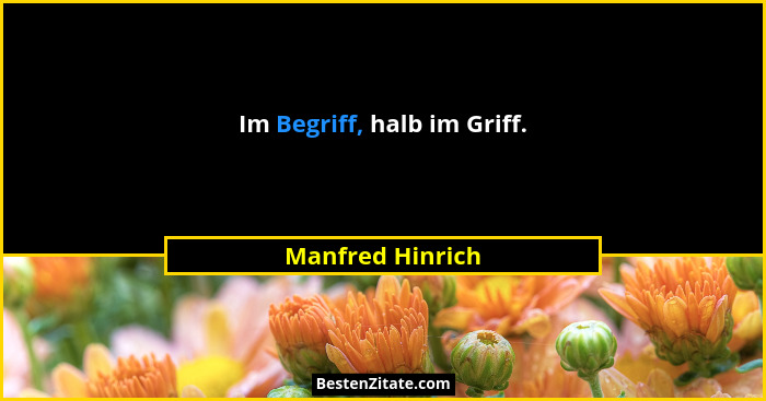 Im Begriff, halb im Griff.... - Manfred Hinrich