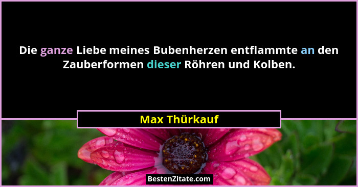 Die ganze Liebe meines Bubenherzen entflammte an den Zauberformen dieser Röhren und Kolben.... - Max Thürkauf
