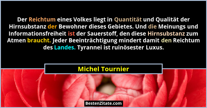 Der Reichtum eines Volkes liegt in Quantität und Qualität der Hirnsubstanz der Bewohner dieses Gebietes. Und die Meinungs und Inform... - Michel Tournier