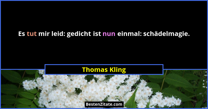 Es tut mir leid: gedicht ist nun einmal: schädelmagie.... - Thomas Kling