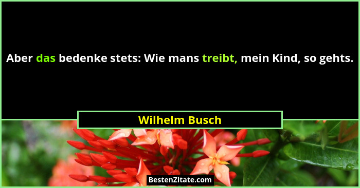Aber das bedenke stets: Wie mans treibt, mein Kind, so gehts.... - Wilhelm Busch