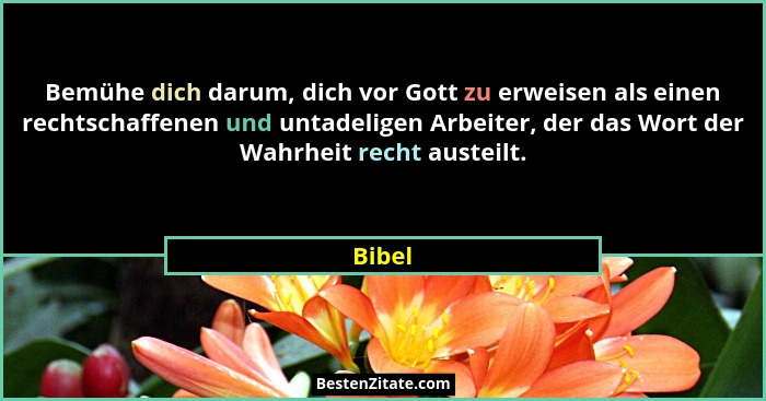 Bemühe dich darum, dich vor Gott zu erweisen als einen rechtschaffenen und untadeligen Arbeiter, der das Wort der Wahrheit recht austeilt.... - Bibel