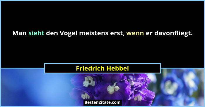 Man sieht den Vogel meistens erst, wenn er davonfliegt.... - Friedrich Hebbel