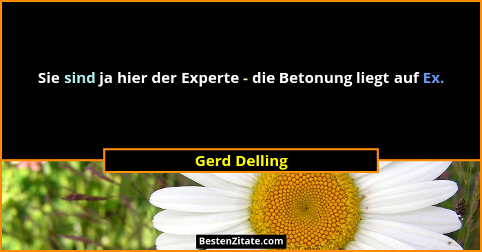 Sie sind ja hier der Experte - die Betonung liegt auf Ex.... - Gerd Delling