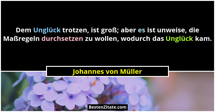 Dem Unglück trotzen, ist groß; aber es ist unweise, die Maßregeln durchsetzen zu wollen, wodurch das Unglück kam.... - Johannes von Müller