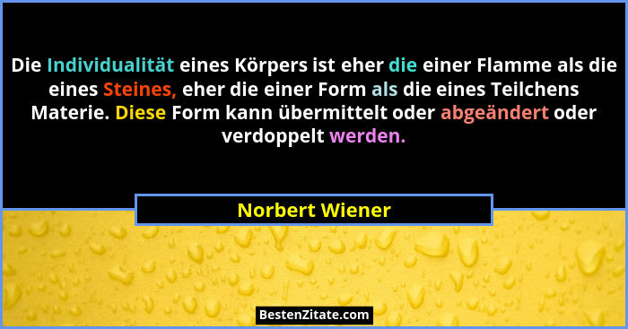 Die Individualität eines Körpers ist eher die einer Flamme als die eines Steines, eher die einer Form als die eines Teilchens Materie... - Norbert Wiener