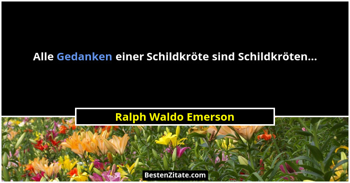 Alle Gedanken einer Schildkröte sind Schildkröten...... - Ralph Waldo Emerson