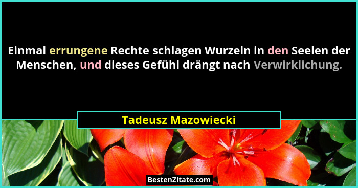 Einmal errungene Rechte schlagen Wurzeln in den Seelen der Menschen, und dieses Gefühl drängt nach Verwirklichung.... - Tadeusz Mazowiecki