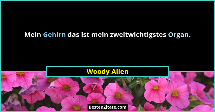 Mein Gehirn das ist mein zweitwichtigstes Organ.... - Woody Allen
