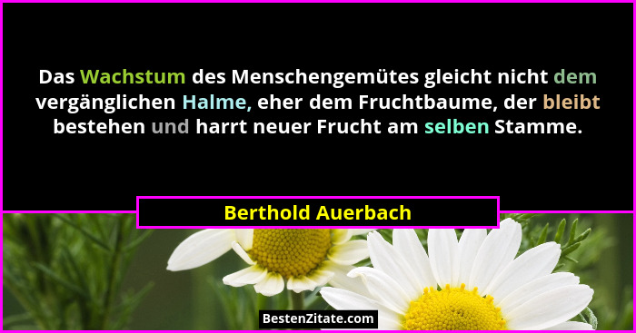 Das Wachstum des Menschengemütes gleicht nicht dem vergänglichen Halme, eher dem Fruchtbaume, der bleibt bestehen und harrt neuer... - Berthold Auerbach