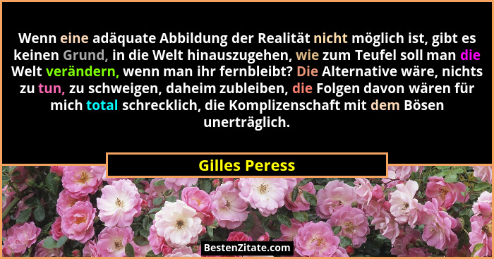 Wenn eine adäquate Abbildung der Realität nicht möglich ist, gibt es keinen Grund, in die Welt hinauszugehen, wie zum Teufel soll man... - Gilles Peress