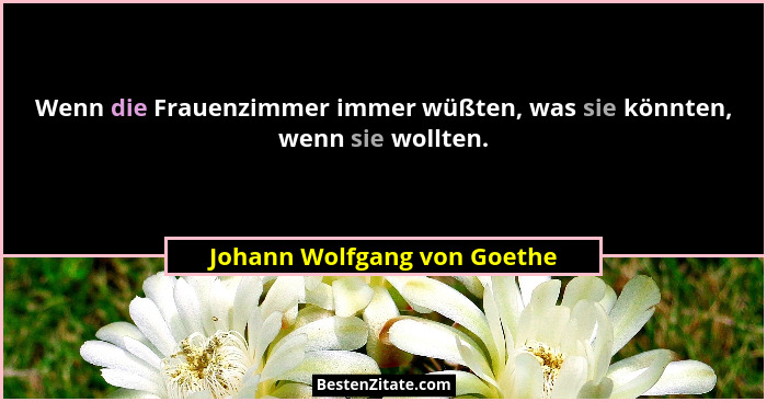 Wenn die Frauenzimmer immer wüßten, was sie könnten, wenn sie wollten.... - Johann Wolfgang von Goethe