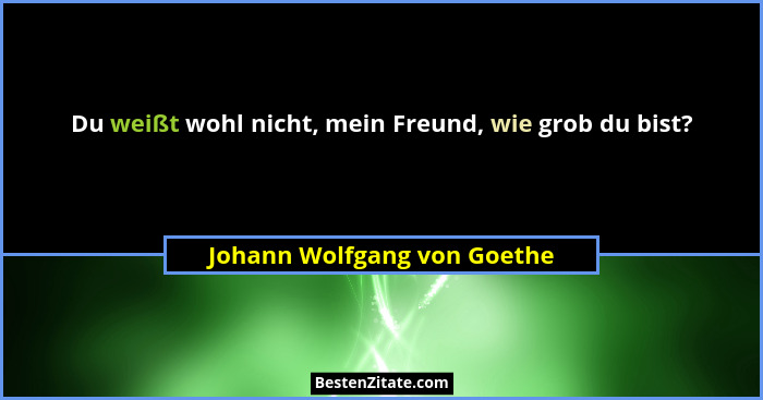 Du weißt wohl nicht, mein Freund, wie grob du bist?... - Johann Wolfgang von Goethe