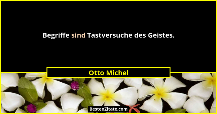Begriffe sind Tastversuche des Geistes.... - Otto Michel
