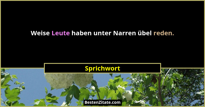 Weise Leute haben unter Narren übel reden.... - Sprichwort