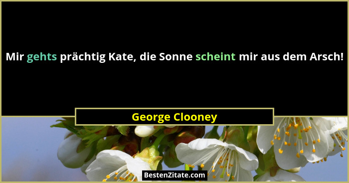 Mir gehts prächtig Kate, die Sonne scheint mir aus dem Arsch!... - George Clooney