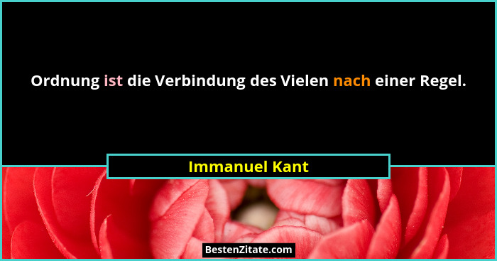 Ordnung ist die Verbindung des Vielen nach einer Regel.... - Immanuel Kant