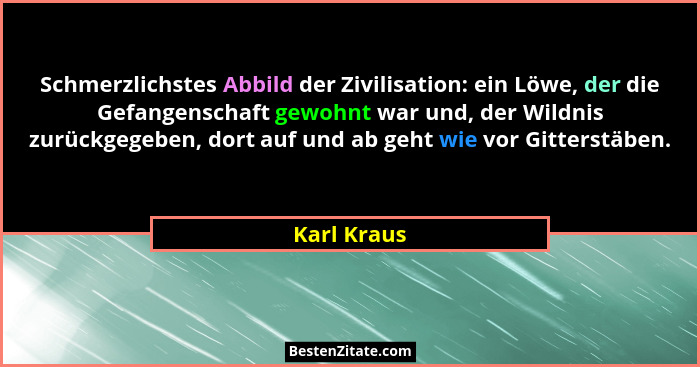 Schmerzlichstes Abbild der Zivilisation: ein Löwe, der die Gefangenschaft gewohnt war und, der Wildnis zurückgegeben, dort auf und ab geh... - Karl Kraus