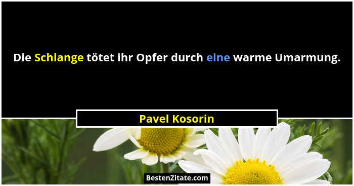 Die Schlange tötet ihr Opfer durch eine warme Umarmung.... - Pavel Kosorin
