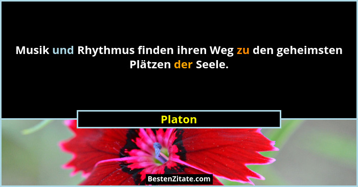Musik und Rhythmus finden ihren Weg zu den geheimsten Plätzen der Seele.... - Platon