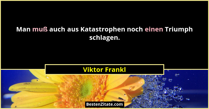 Man muß auch aus Katastrophen noch einen Triumph schlagen.... - Viktor Frankl