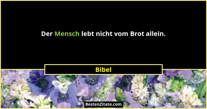 Der Mensch lebt nicht vom Brot allein.... - Bibel