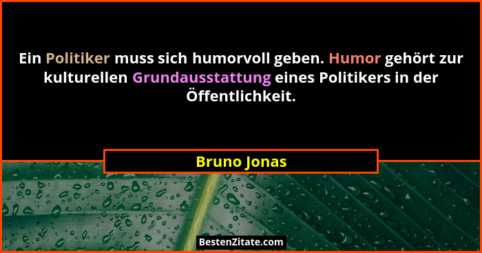 Ein Politiker muss sich humorvoll geben. Humor gehört zur kulturellen Grundausstattung eines Politikers in der Öffentlichkeit.... - Bruno Jonas