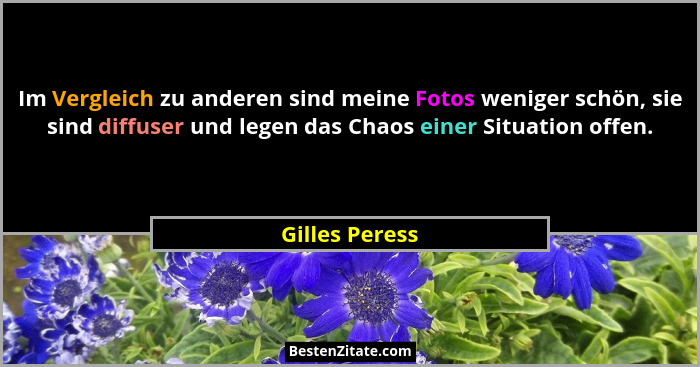 Im Vergleich zu anderen sind meine Fotos weniger schön, sie sind diffuser und legen das Chaos einer Situation offen.... - Gilles Peress