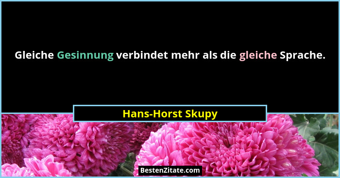 Gleiche Gesinnung verbindet mehr als die gleiche Sprache.... - Hans-Horst Skupy