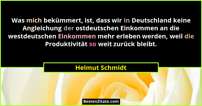 Was mich bekümmert, ist, dass wir in Deutschland keine Angleichung der ostdeutschen Einkommen an die westdeutschen Einkommen mehr erl... - Helmut Schmidt