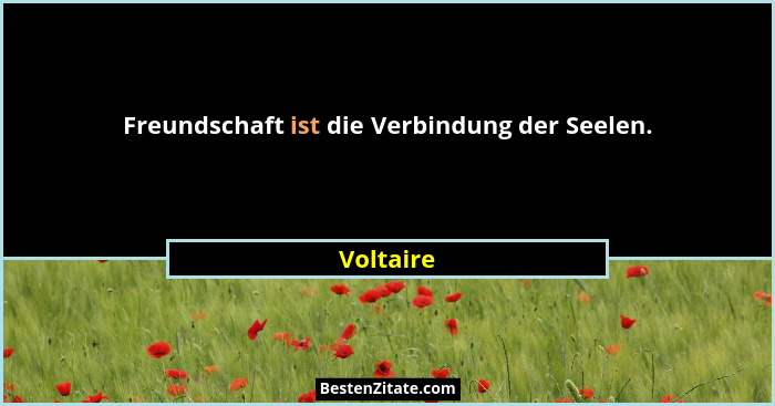 Freundschaft ist die Verbindung der Seelen.... - Voltaire