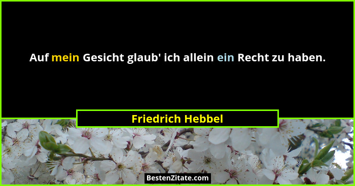 Auf mein Gesicht glaub' ich allein ein Recht zu haben.... - Friedrich Hebbel