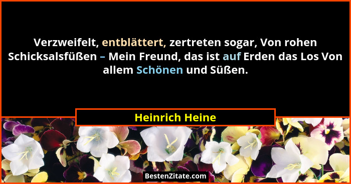 Verzweifelt, entblättert, zertreten sogar, Von rohen Schicksalsfüßen – Mein Freund, das ist auf Erden das Los Von allem Schönen und S... - Heinrich Heine