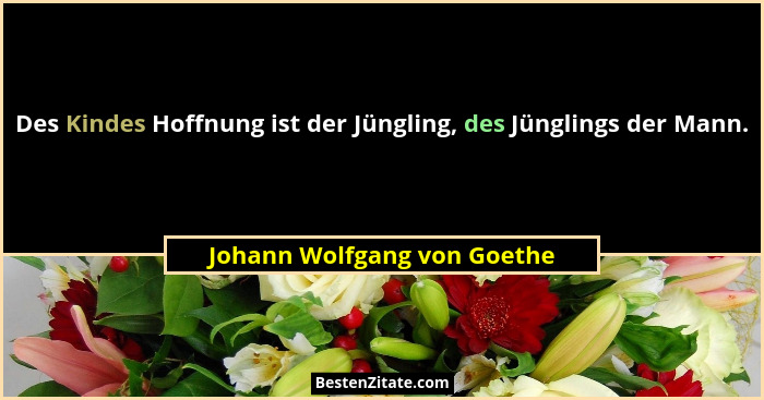 Des Kindes Hoffnung ist der Jüngling, des Jünglings der Mann.... - Johann Wolfgang von Goethe