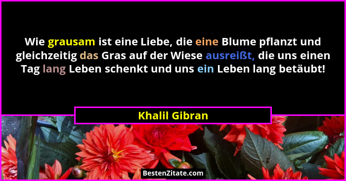 Wie grausam ist eine Liebe, die eine Blume pflanzt und gleichzeitig das Gras auf der Wiese ausreißt, die uns einen Tag lang Leben sche... - Khalil Gibran