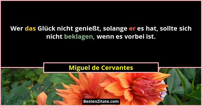 Wer das Glück nicht genießt, solange er es hat, sollte sich nicht beklagen, wenn es vorbei ist.... - Miguel de Cervantes