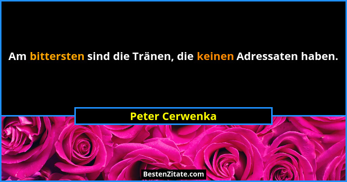 Am bittersten sind die Tränen, die keinen Adressaten haben.... - Peter Cerwenka