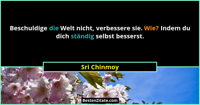 Beschuldige die Welt nicht, verbessere sie. Wie? Indem du dich ständig selbst besserst.... - Sri Chinmoy