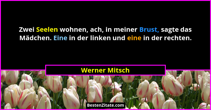 Zwei Seelen wohnen, ach, in meiner Brust, sagte das Mädchen. Eine in der linken und eine in der rechten.... - Werner Mitsch