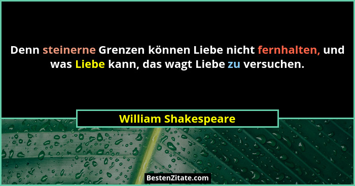 Denn steinerne Grenzen können Liebe nicht fernhalten, und was Liebe kann, das wagt Liebe zu versuchen.... - William Shakespeare