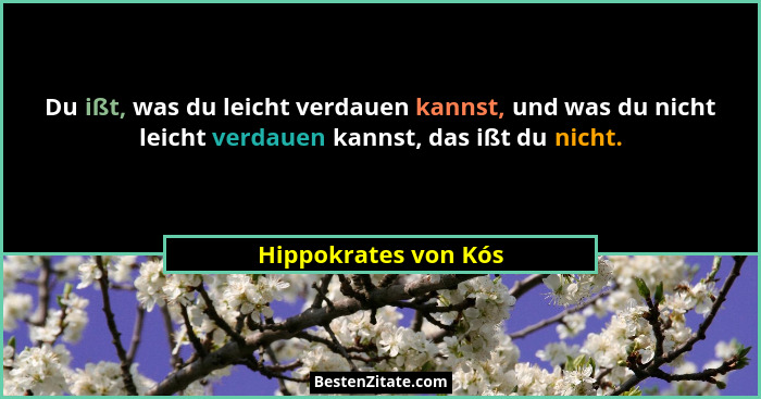 Du ißt, was du leicht verdauen kannst, und was du nicht leicht verdauen kannst, das ißt du nicht.... - Hippokrates von Kós