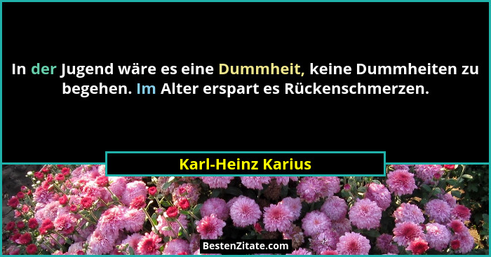 In der Jugend wäre es eine Dummheit, keine Dummheiten zu begehen. Im Alter erspart es Rückenschmerzen.... - Karl-Heinz Karius